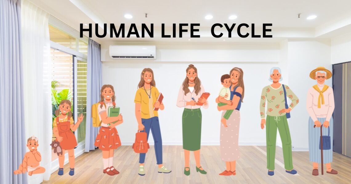 human life cycle, 8 stages of human life cycle, human life cycle stages, 8 stages of human life, human life cycle stages, from birth to old age